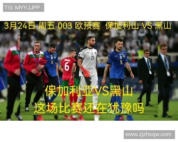 保加利亚与黑山足球对决结果揭晓谁将赢得胜利