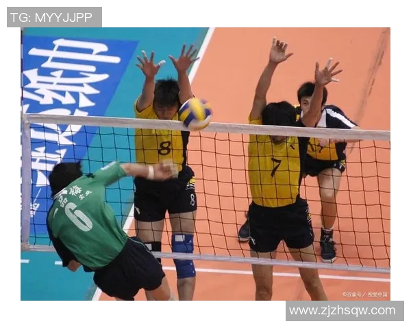 成都排球队引领最新排球团队协作榜单前十名精彩表现揭秘